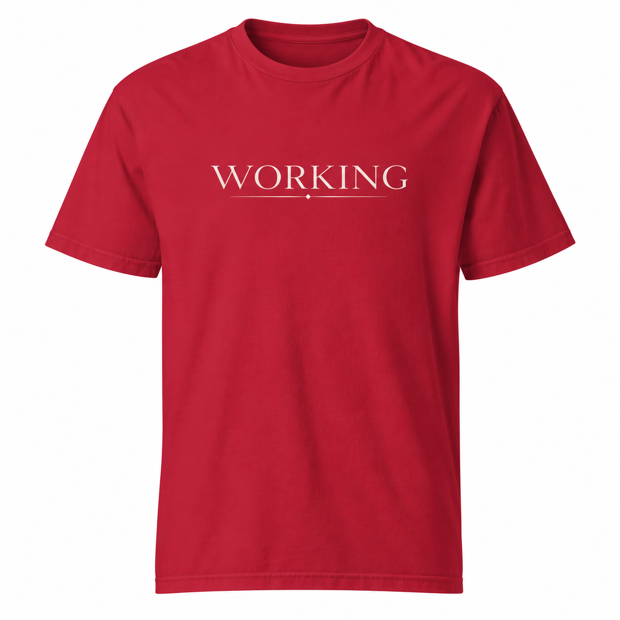 Working On The Fly- Tee