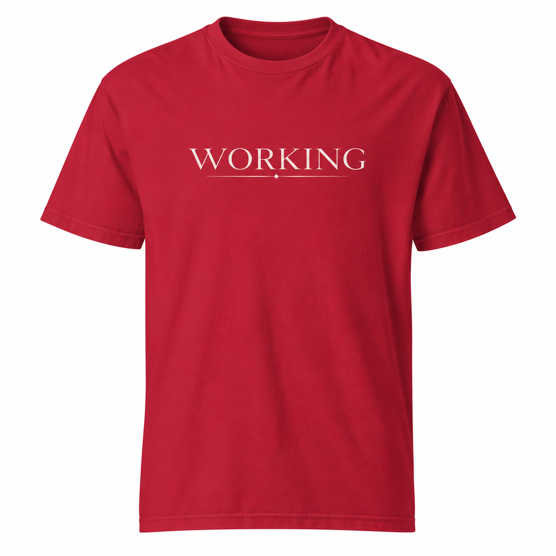 Working On The Fly- Tee